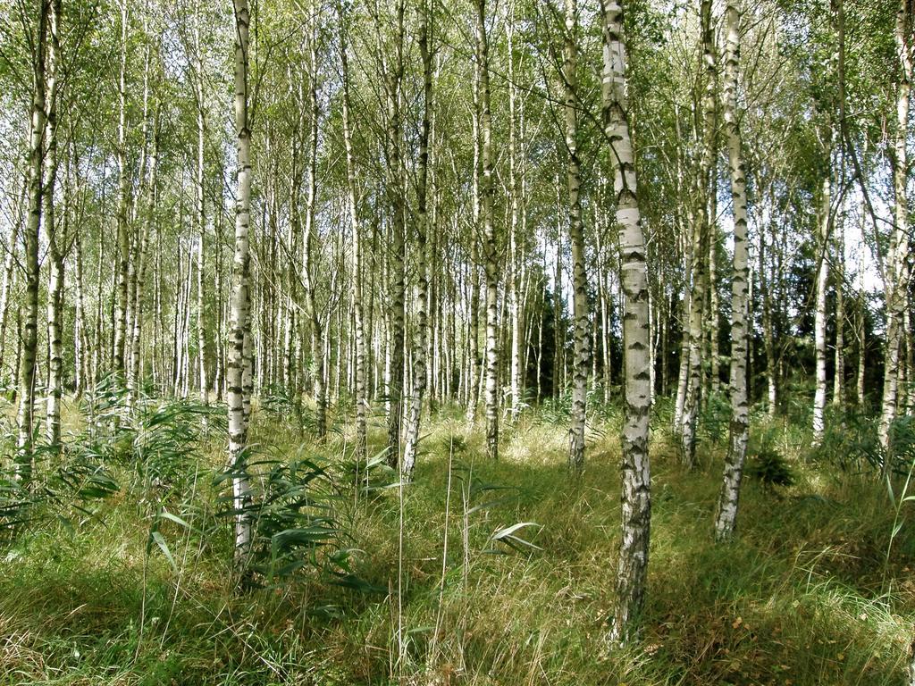 Agroturystyka "Bociek" Bełk Exteriör bild